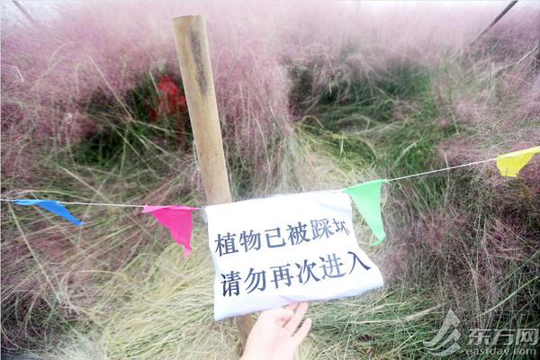 快手小艾baby直播回放_(tái)廣東省委原常委、統(tǒng)戰(zhàn)部原部長曾志權(quán)被控受賄1.4億余元