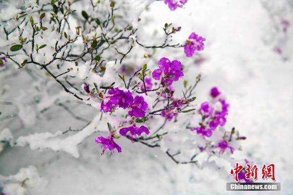 拉人進群獎勵紅包騙局_利比亞法院審判IS成員時遭襲 4名安全人員死亡