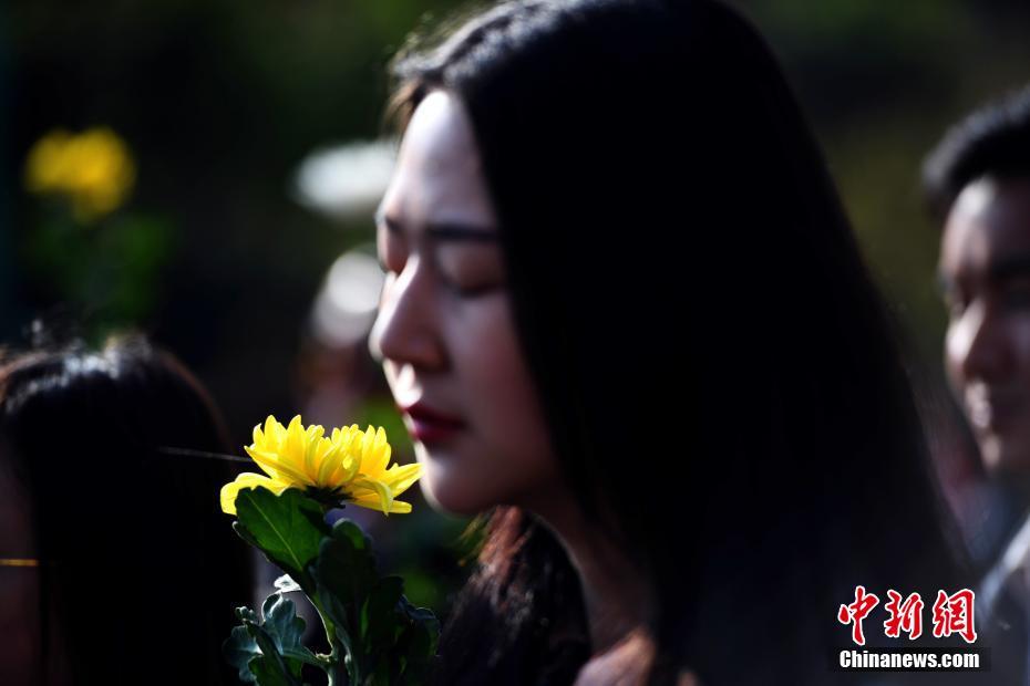 向日葵0day漏洞_iOS 26.2 RC2版本已推送：別急著更新，只因體驗反饋極其不好！