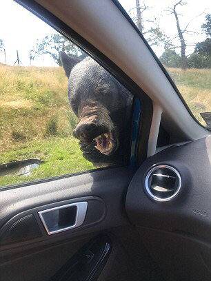 定格于此？保羅目前生涯總得分23058分 排歷史第36