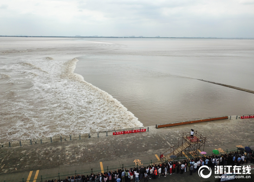 盜版狂飆電視劇40集免費觀看全集播放_弱水時砂靜海II HIFI版深度評測