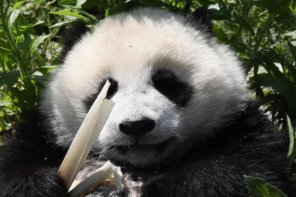 電腦測試軟件排行_《逆時追兇》榮獲中國電視大會佳績，雙時空懸疑