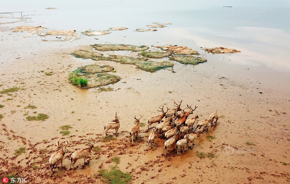 電腦上某個(gè)網(wǎng)站打不開_維修工修熱水器被燙傷 對(duì)妹妹說