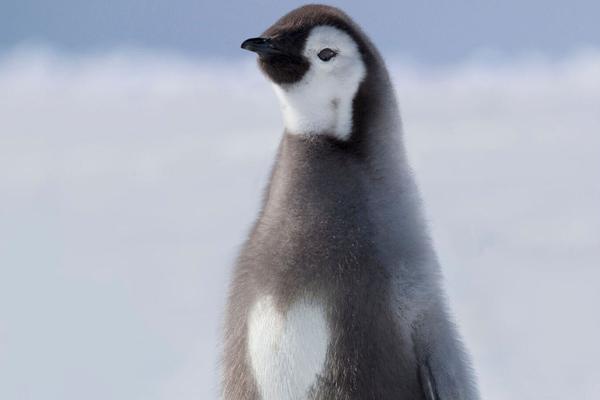 民進(jìn)黨當(dāng)局封禁小紅書(shū)