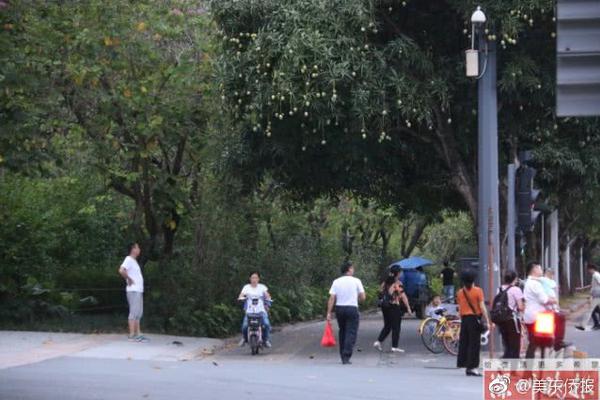 以案促改制度機(jī)制存在問題自我剖析材料_這一次，特朗普突然說感謝中國