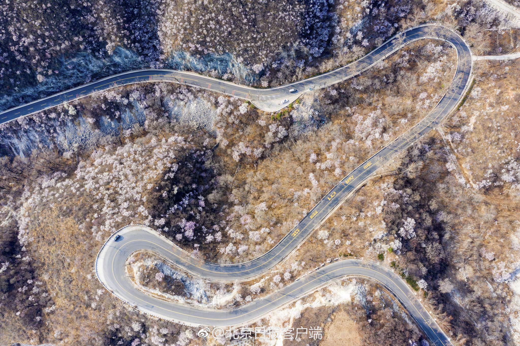 ap0177cc蘋(píng)果tv_英超：曼聯(lián)4-1副班長(zhǎng)升至第6！B費(fèi)2球1助，姆伯莫芒特破門