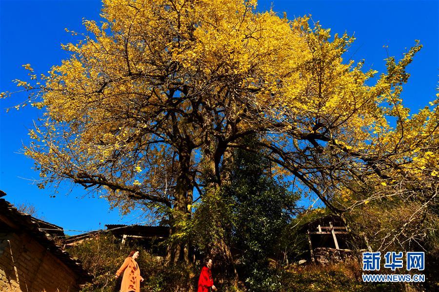 apache啟動(dòng)服務(wù)器注刪域名_拉比奧特談逆轉(zhuǎn)勝利：0-2落后非總能翻盤，需復(fù)盤錄像