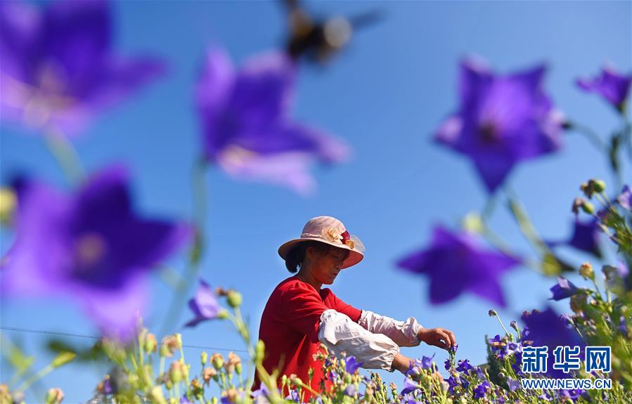 俄羅斯搜索引擎yonder入口在哪里_2025土地復(fù)盤 沒啥供應(yīng)的核心區(qū)都還行