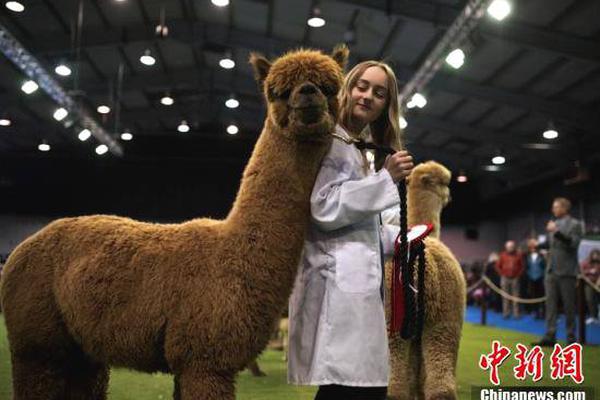 青春華章 向海圖強|山東強力開啟碧海之上的綠金時代