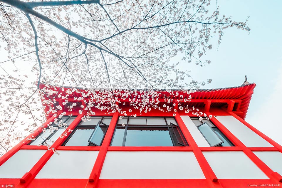 內網(wǎng)穿透訪問網(wǎng)站后臺圖片_樂視網(wǎng)一季度收入銳減70％ 第一股東賈躍亭99.99%凍結