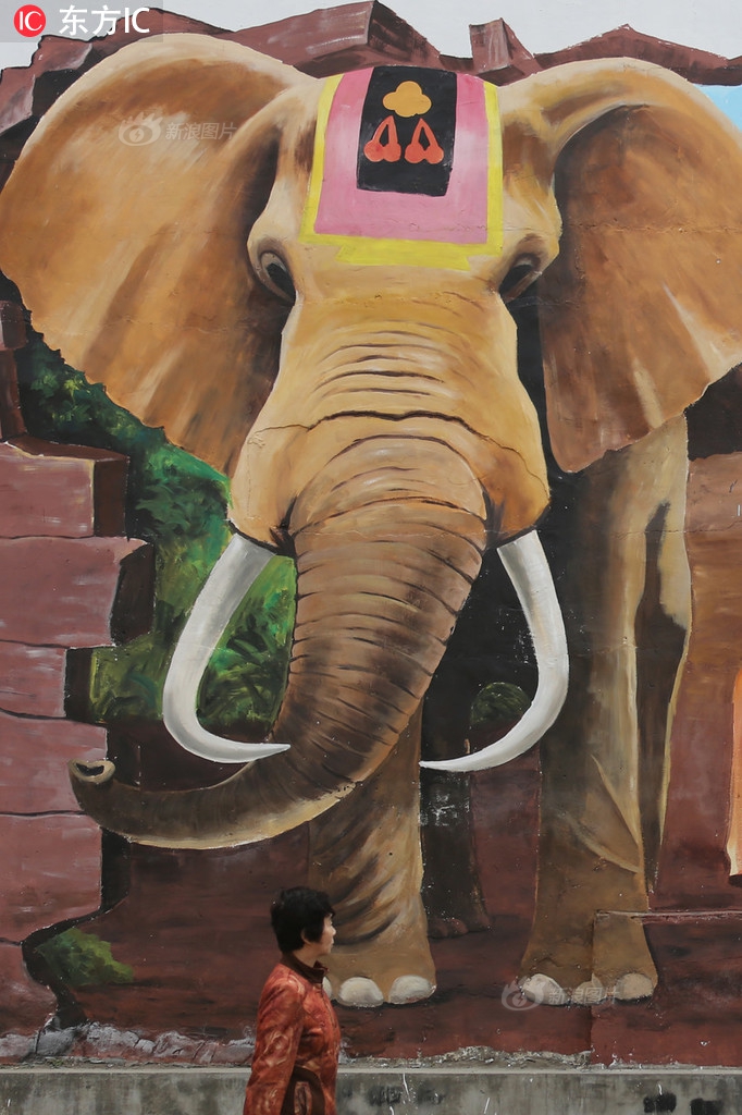 花兩千元買兩鍋？新鄉(xiāng)打掉3個(gè)“黑旅行社”