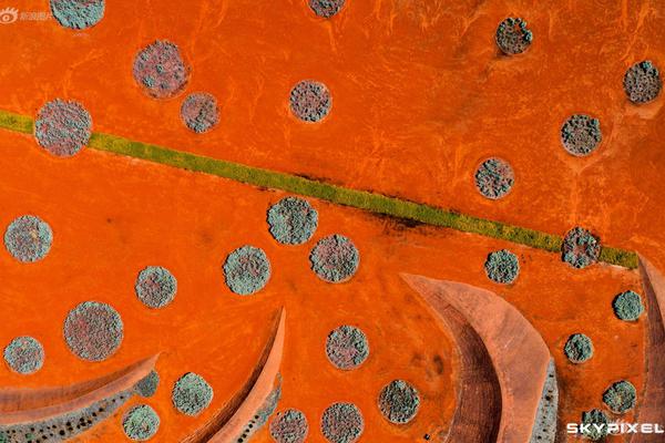 北京市屬公園推出“雪景打卡地圖”，40余處點位拍雪絕美！