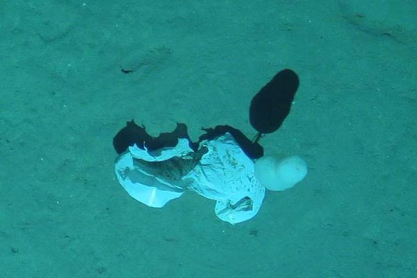 域名和ip地址有什么關(guān)_美前情報官：特朗普聽取有關(guān)外星生命“全面簡報”