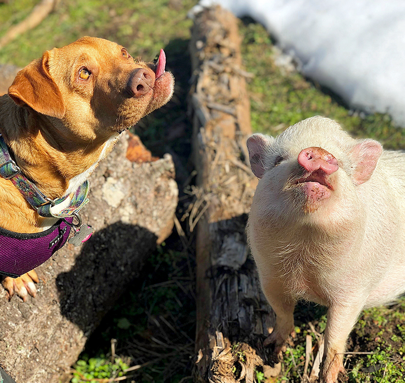 給網(wǎng)站寫(xiě)文章多少錢(qián)一篇_每體：阿勞霍現(xiàn)身以色列特拉維夫，將在那里度幾天假