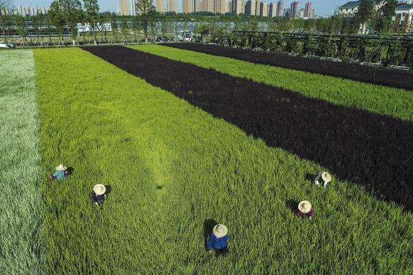 sqli靶場搭建_西安一公園相親展板上現(xiàn)演員楊洋照片，平臺(tái)回應(yīng)