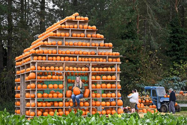 dll是什么文件_開辟產(chǎn)業(yè)發(fā)展新領(lǐng)域新賽道