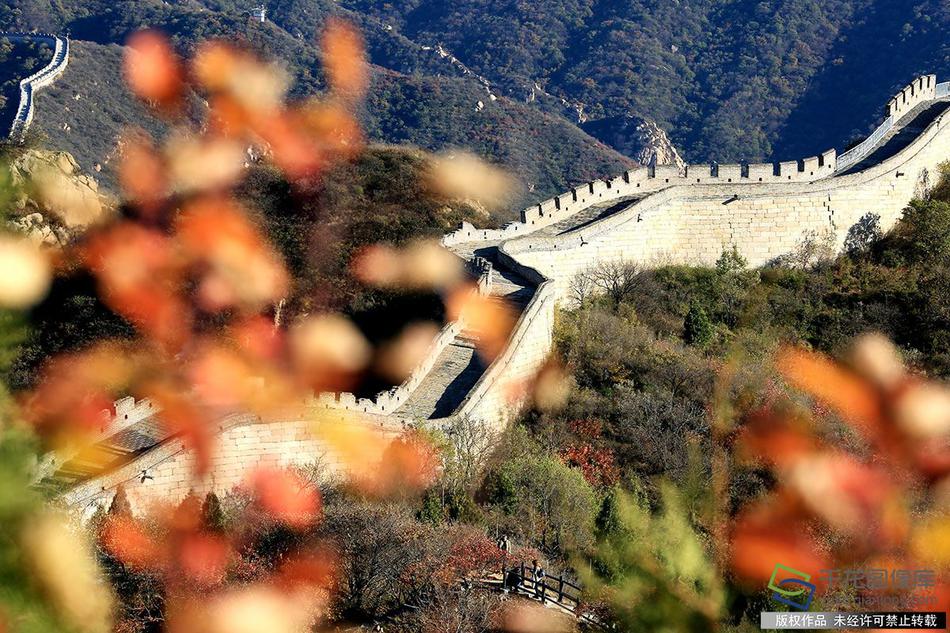 sql注入 dvwa_給娃過(guò)生日咋成了年度“大考”