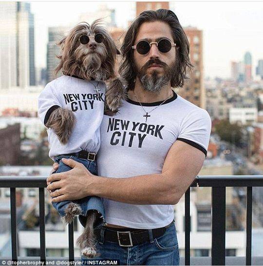 網(wǎng)絡(luò)爬蟲(chóng)工具有哪些_為#愛(ài)加餐# 為了中國(guó)孩子！