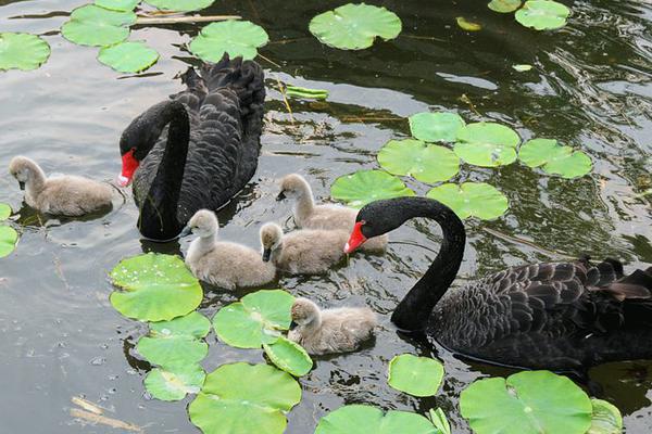 總書記的關(guān)切·落地的回響｜因地制宜發(fā)展新質(zhì)生產(chǎn)力