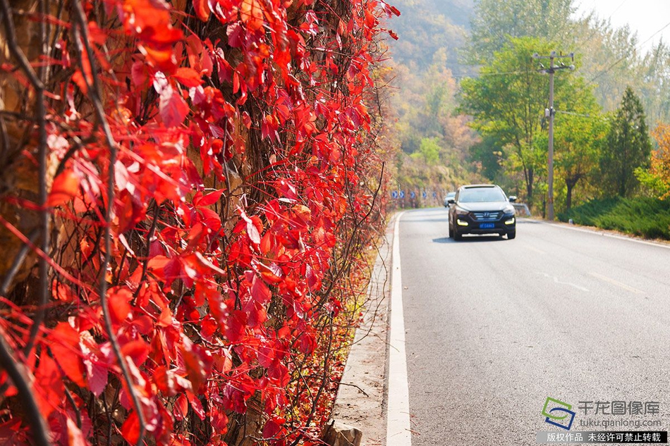 網(wǎng)絡(luò)設(shè)備監(jiān)控軟件綠色版_印度靛藍(lán)航空取消數(shù)千架次航班 大量乘客滯留