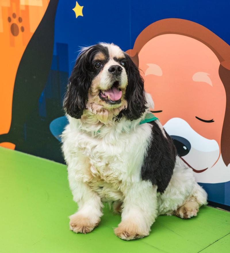 谷歌插件下載_40張海邊撒野照片，真是太有創(chuàng)意了！