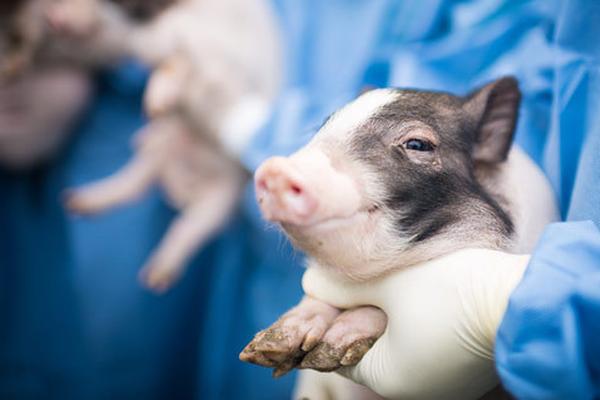 谷歌插件下載_40張海邊撒野照片，真是太有創(chuàng)意了！