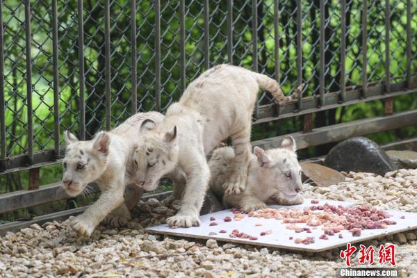 怎么舉報個人網(wǎng)站_立冬后重在“養(yǎng)神”，教你這么養(yǎng)！