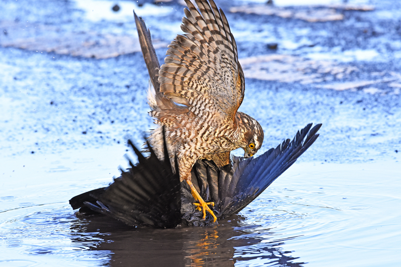 tp監(jiān)控ip搜索工具電腦版_大學(xué)生走進(jìn)“未來(lái)工廠”，探索智能制造新圖景