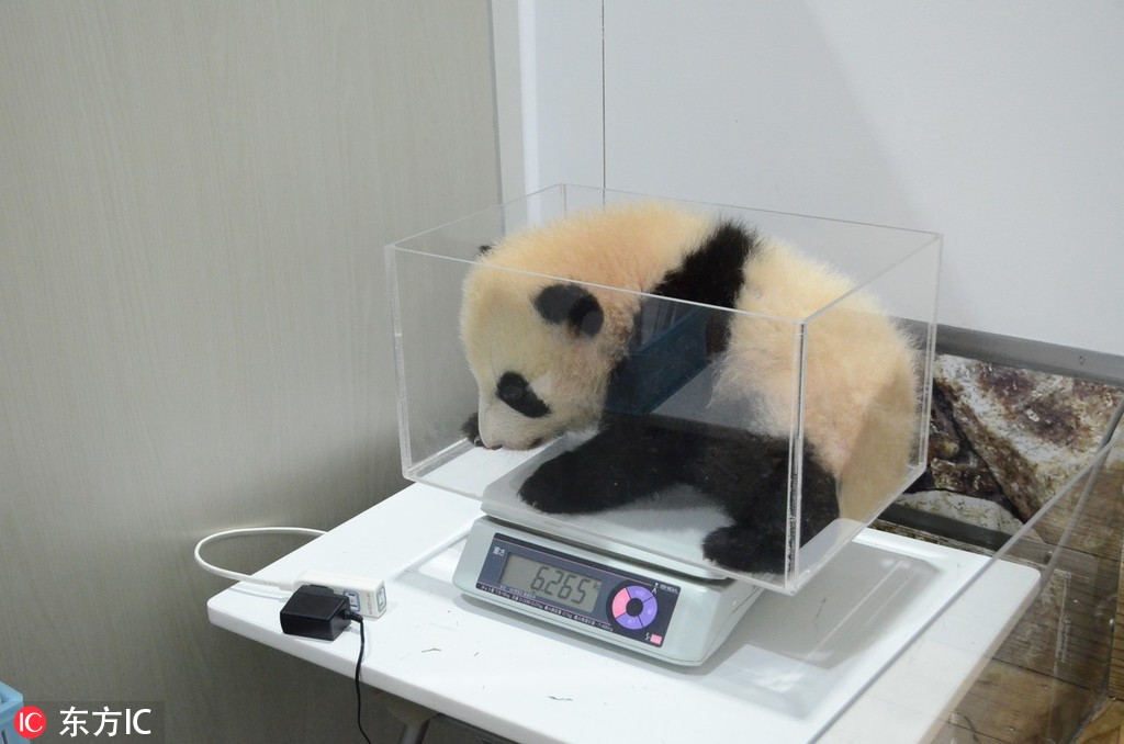 廣東白云學(xué)院違規(guī)電器違反了什么學(xué)生手冊(cè)_中國(guó)軍號(hào)：日本是賊喊捉賊的慣犯