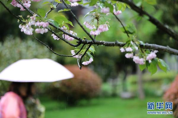 googleseo是什么意思_如何看待“投資于人”的效益？