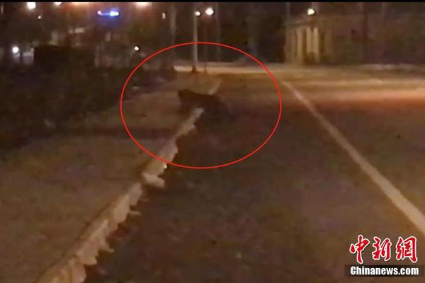 詐騙案例真實(shí)2024年最新_80秒看懂中央經(jīng)濟(jì)工作會(huì)議