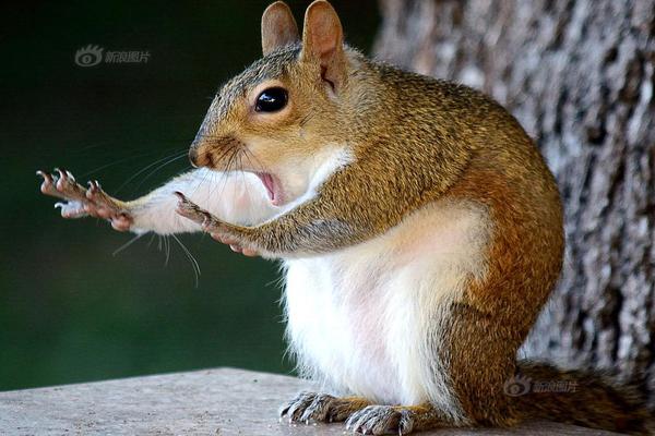 網(wǎng)頁(yè)上怎么看已經(jīng)保存的密碼_多方博弈俄烏“和平協(xié)議”