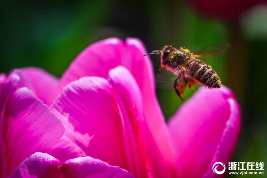 web 中間件_《上海，抱緊我》滬漂小青年的日常