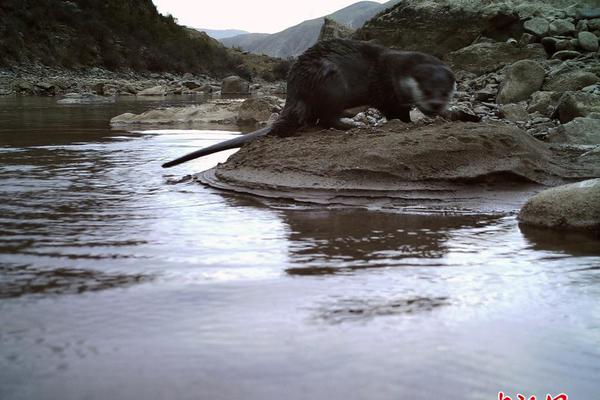 震旦generic_中方回應(yīng)向日本出口稀土出現(xiàn)延誤
