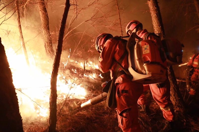 idle python_E句話| 立威廉甲狀腺癌后首發(fā)文？