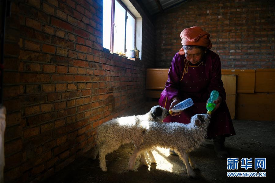 idle python_E句話| 立威廉甲狀腺癌后首發(fā)文？