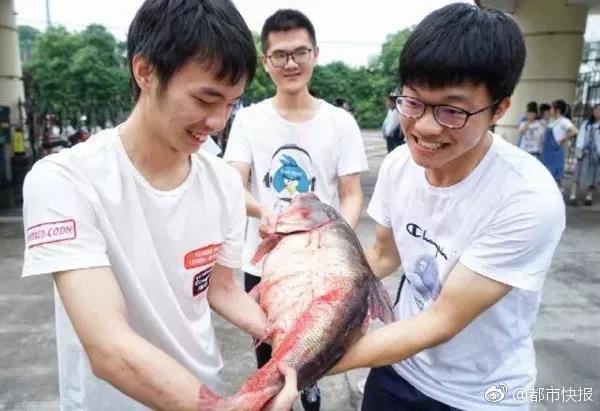 支付寶網(wǎng)站是多少_歐盟領(lǐng)導(dǎo)人打破沉默 對特朗普的新版國安戰(zhàn)略作出回應(yīng)