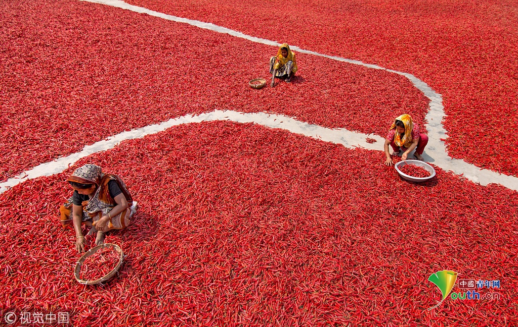 紅日官網(wǎng)首頁_亞當-斯科特揮桿圖解?? #球星揮桿# ?