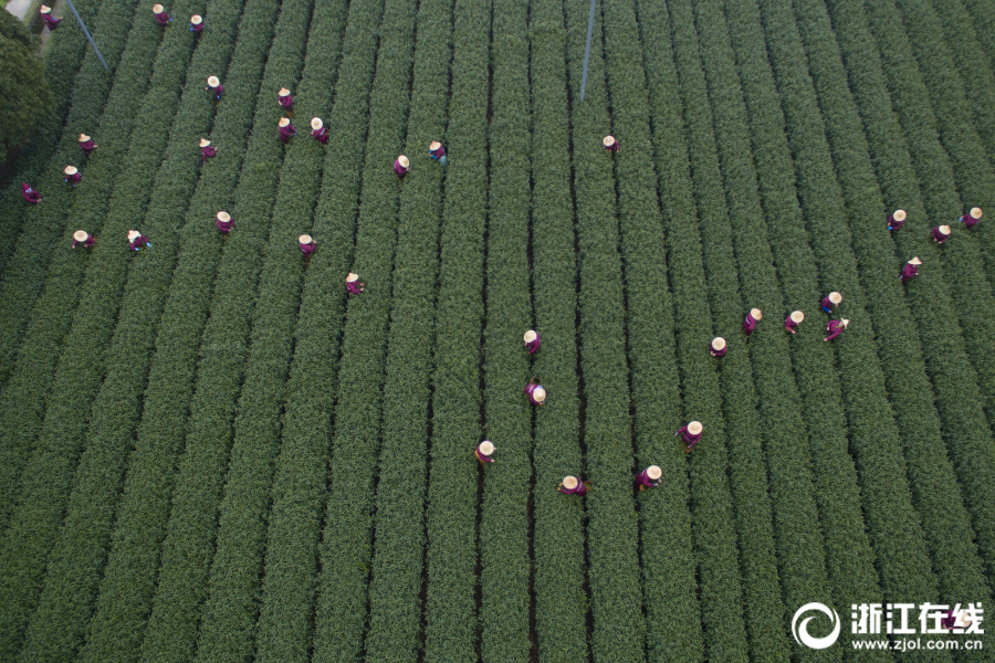 直播帶貨素材視頻20分鐘以上百度云盤_高市早苗在國會稱竹島是日本固有領土 韓國出言