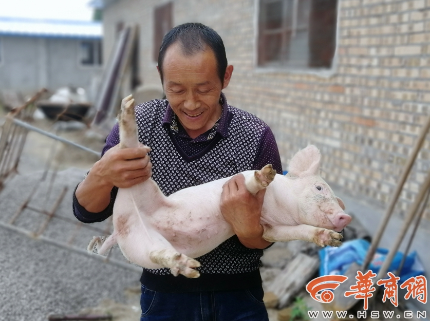 kadonkliveproject工具_(dá)普京:今年底俄通脹率將在6%左右甚至更低