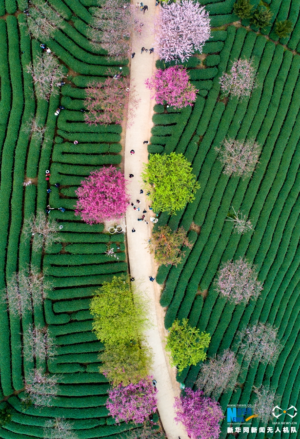 槍戰(zhàn)王者小號(hào)低價(jià)發(fā)卡網(wǎng)_狐貍廚房 | 蜂蜜水清腸還養(yǎng)顏？專家說(shuō)：除了長(zhǎng)胖沒(méi)什么用