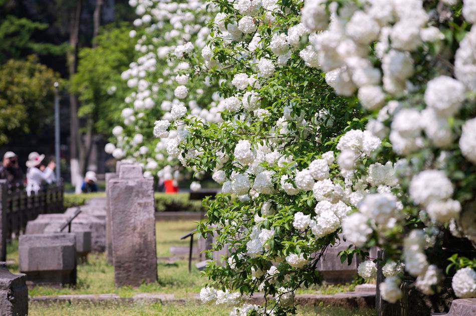 全國網(wǎng)安工作會(huì)議精神_更多升級(jí)更超值 試駕2026款吉利銀河星艦7 EM-i