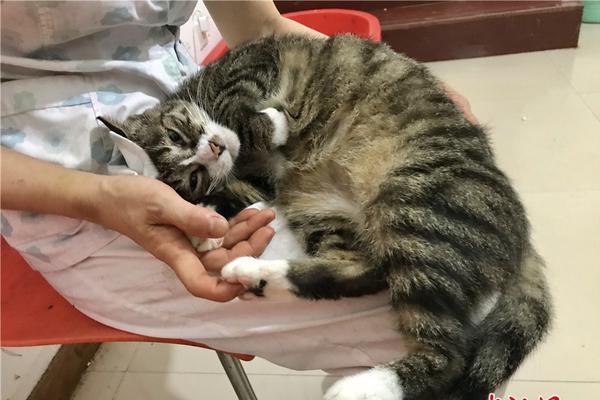 會(huì)抓法律漏洞的是什么人_不讀書(shū)就焦慮的日子，真的該結(jié)束了