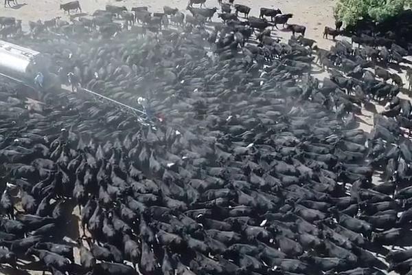 極客傳媒 是騙子么_村民上山挖竹筍撿到神秘儀器 擔(dān)心會(huì)爆炸又放回原處