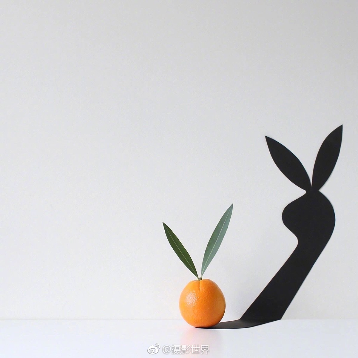 如何查看公司電腦是否被管理人員監(jiān)控_中國科學(xué)家發(fā)現(xiàn)抗癌“新利器”