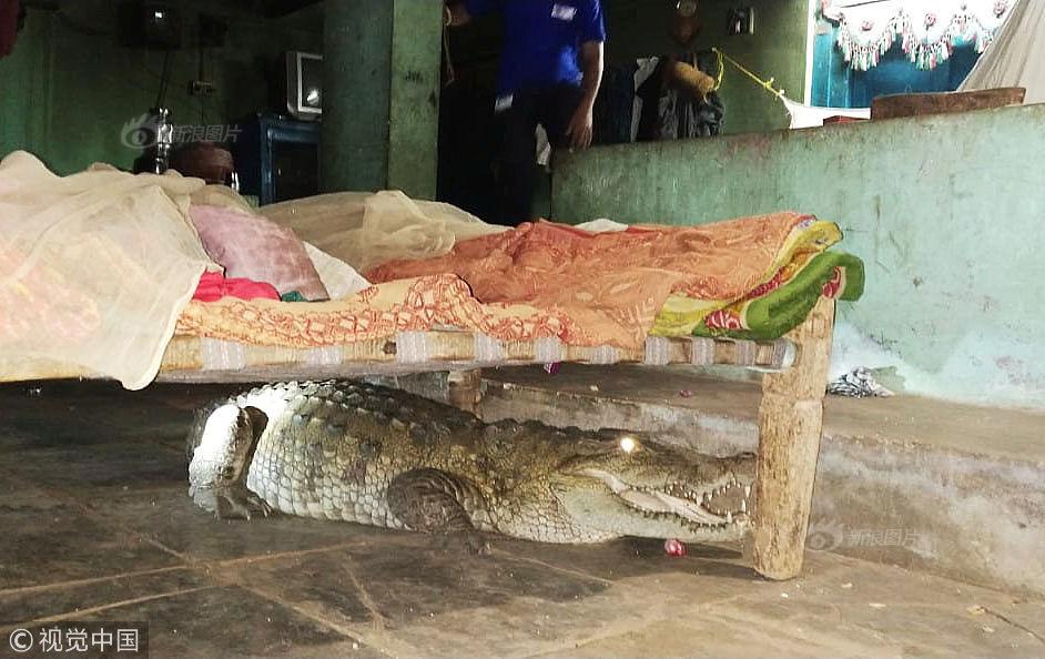 pageadmin官網(wǎng)_俄稱控制一定居點(diǎn) 烏稱擊退俄軍進(jìn)攻