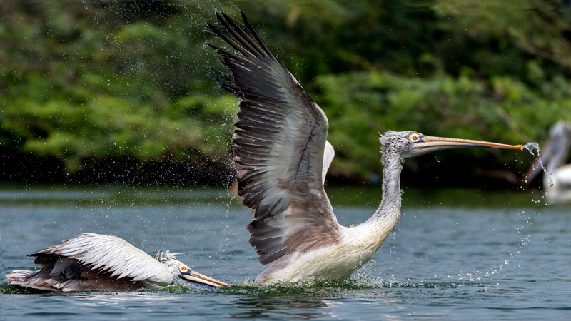 網(wǎng)站訪客_海南通報