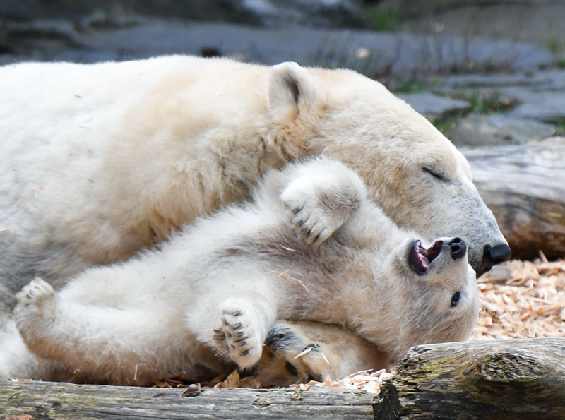 網(wǎng)站哪個平臺好_香期·五月初一 | 于諸福田 歡喜敬養(yǎng)
