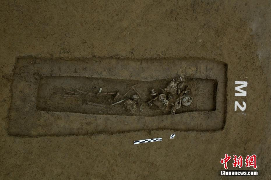 php社區(qū)源碼_江蘇男子貴州投資養(yǎng)羊損失近百萬 543只羊被