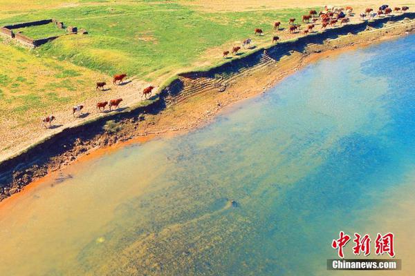 php通用會員管理系統(tǒng)源碼_史上最長春節(jié)有人計劃請5休15